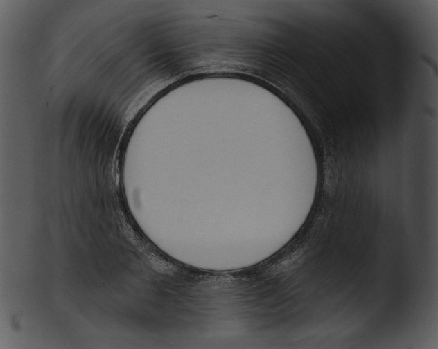 X0000103230885200809251302