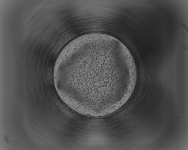 X0000103230889200809251301