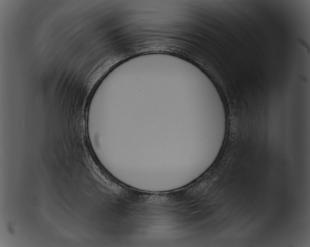 X0000103230890200809251301