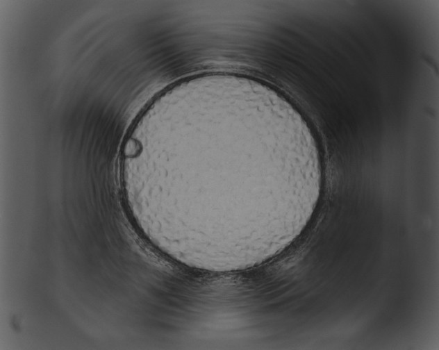 X0000103230891200809251301