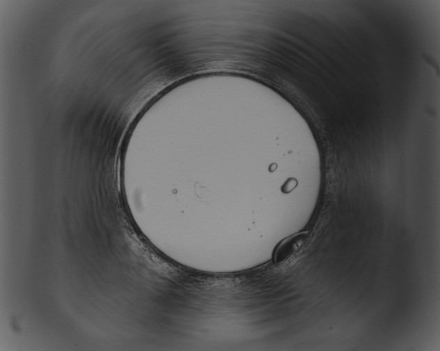 X0000103230892200809251301