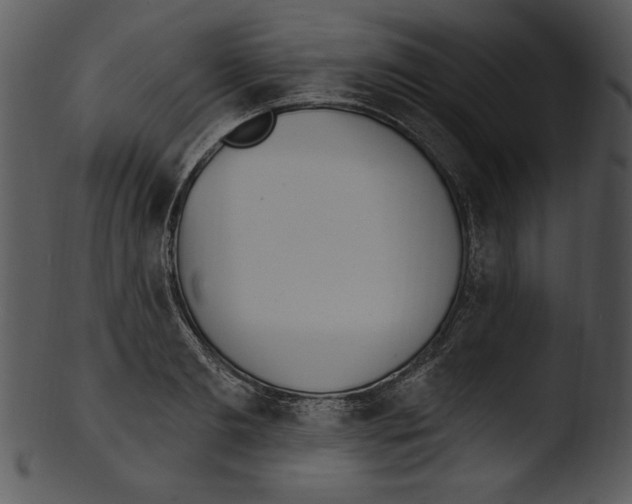 X0000103230893200809251301