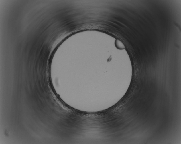 X0000103230894200809251301
