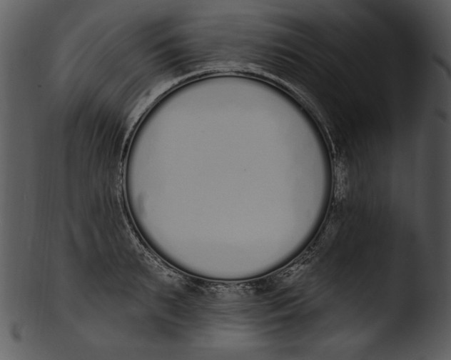 X0000103230895200809251301
