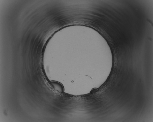X0000103230896200809251301