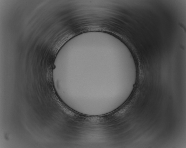X0000103230897200809251301