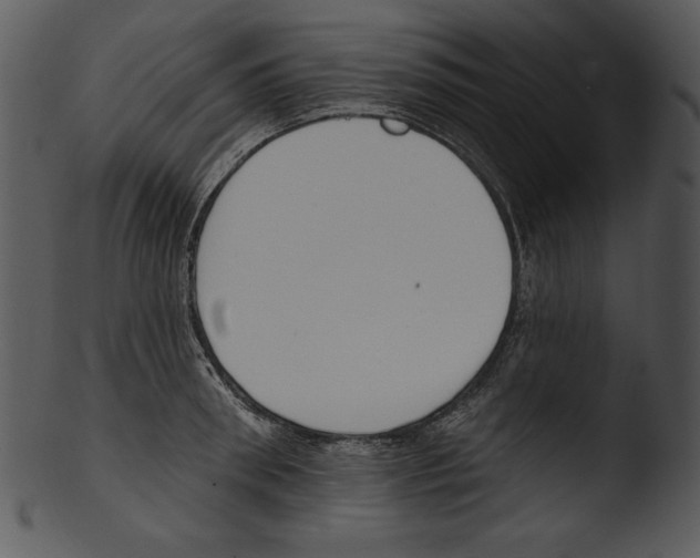 X0000103230898200809251301