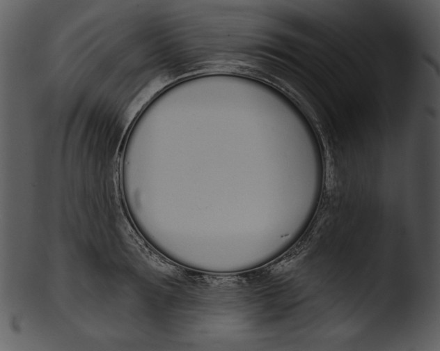 X0000103230899200809251301