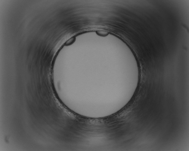 X0000103230901200809251301