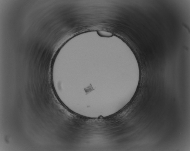 X0000103230902200809251301