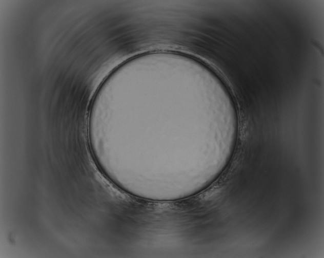 X0000103230903200809251301
