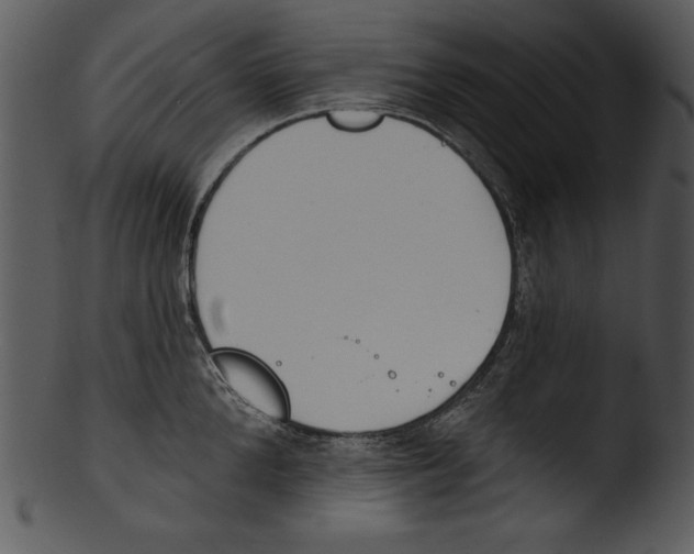 X0000103230904200809251301