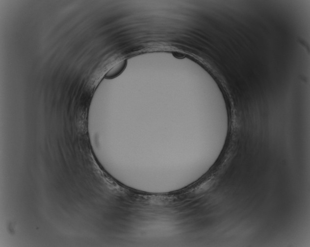 X0000103230905200809251301