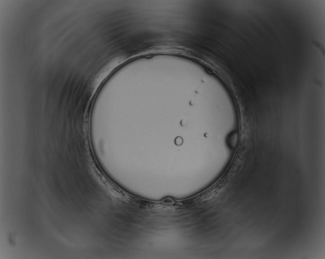 X0000103230907200809251301