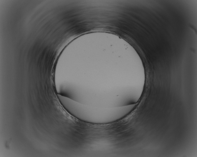 X0000103230908200809251301