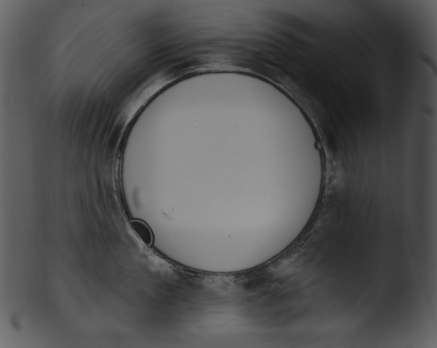 X0000103230909200809251301