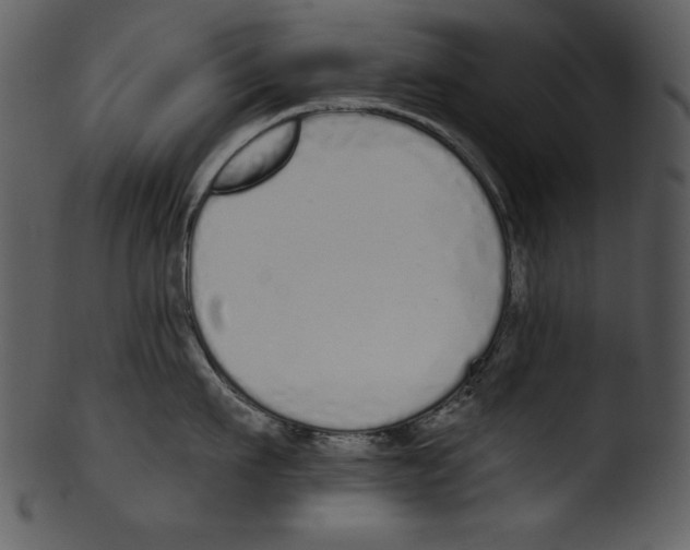 X0000103230911200809251301