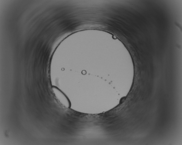 X0000103230912200809251301