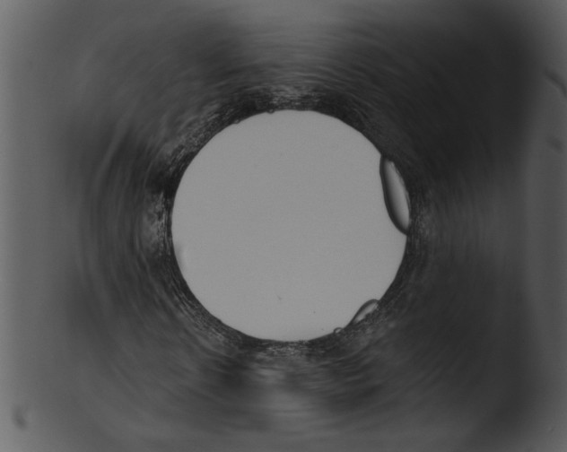X0000103230914200809251301