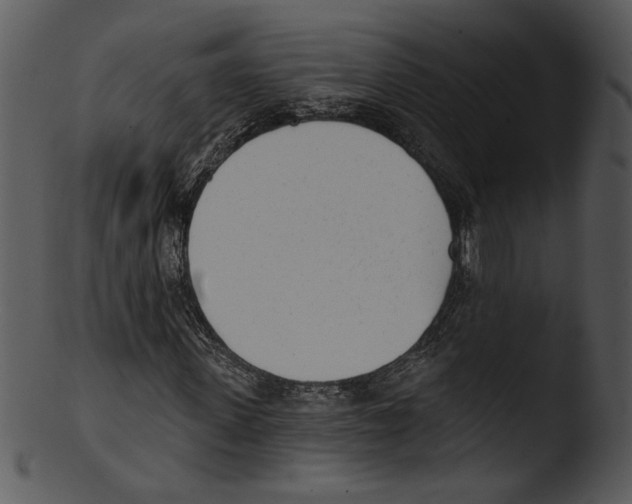 X0000103230915200809251301