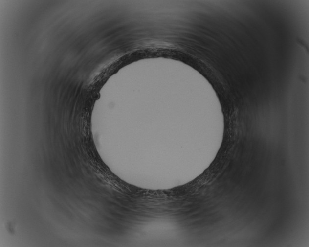X0000103230919200809251301