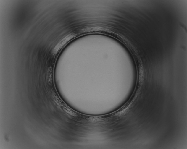X0000103230921200809251301