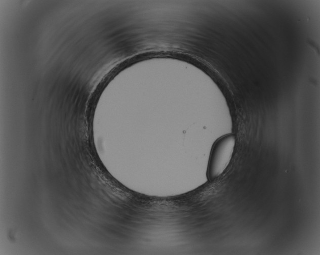 X0000103230927200809251301