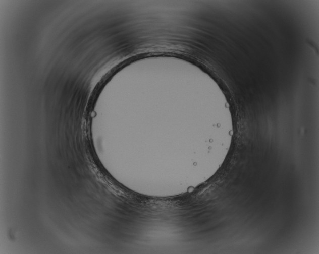 X0000103230928200809251301