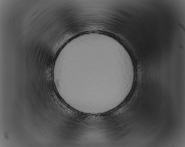 X0000103230929200809251301