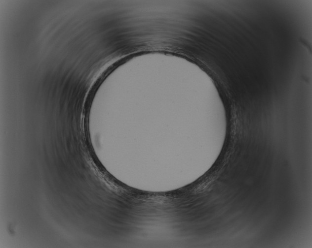 X0000103230932200809251301
