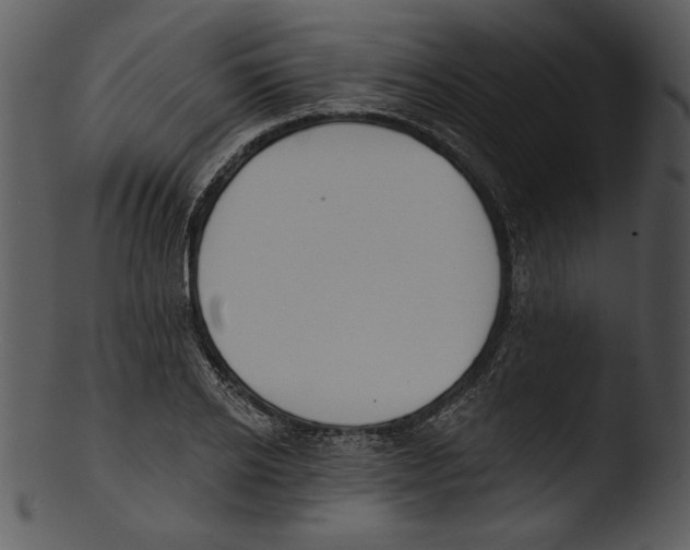 X0000103230934200809251301