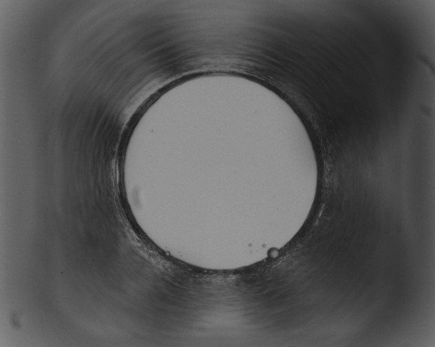 X0000103230936200809251301