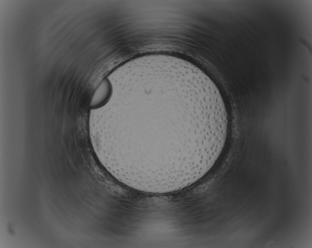 X0000103230937200809251301