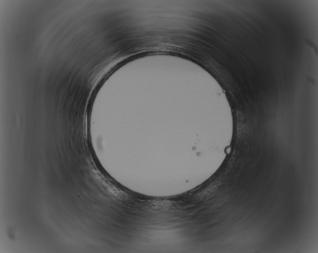 X0000103230940200809251301