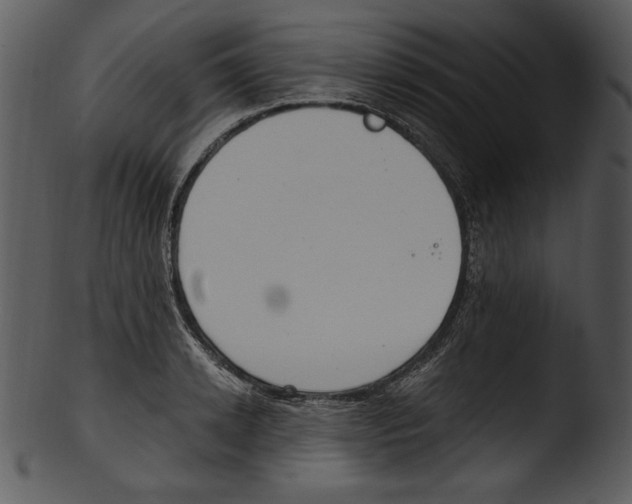 X0000103230942200809251301