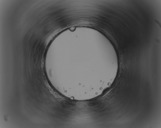 X0000103230944200809251301