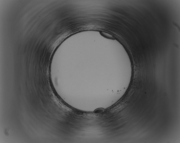 X0000103230946200809251301