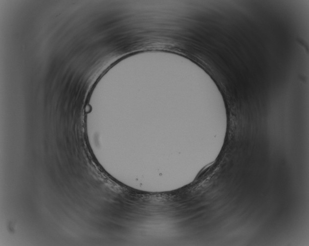 X0000103230948200809251301