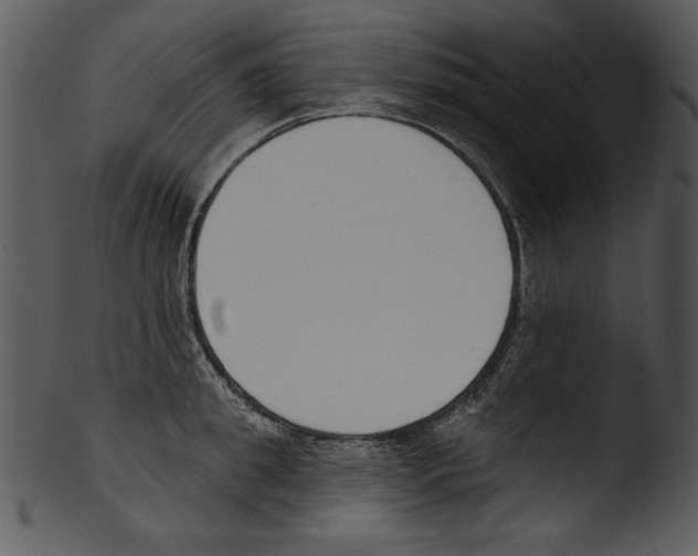 X0000103230949200809251301