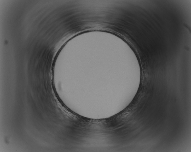 X0000103230951200809251301