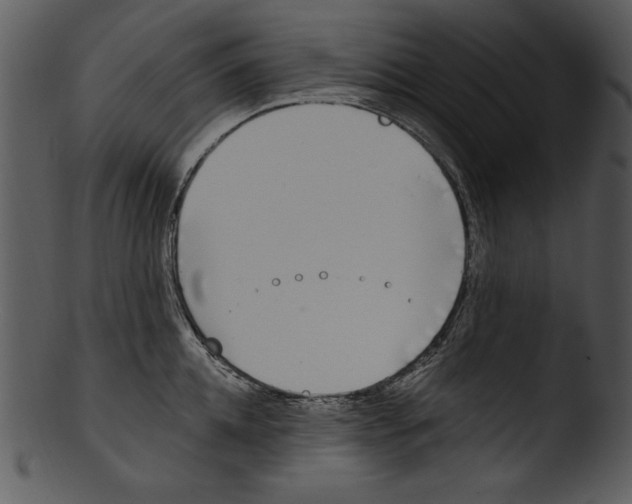 X0000103230952200809251301