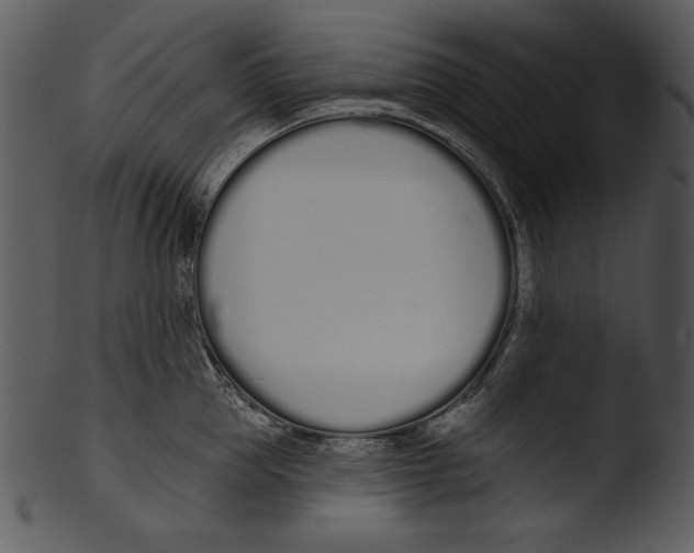 X0000103230953200809251301