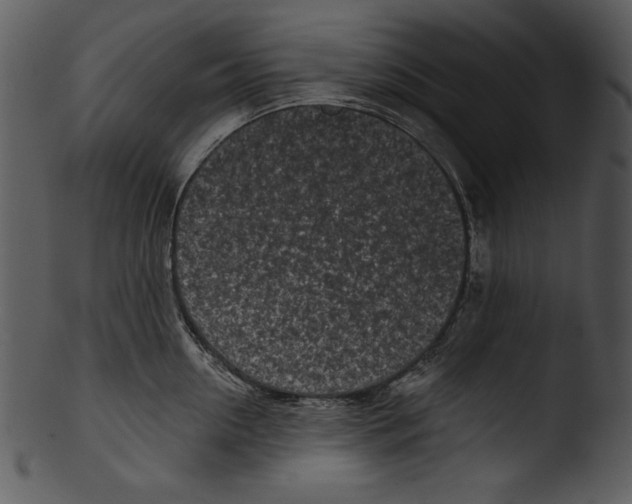 X0000103230954200809251301