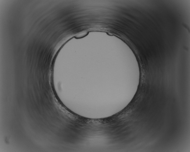 X0000103230955200809251301