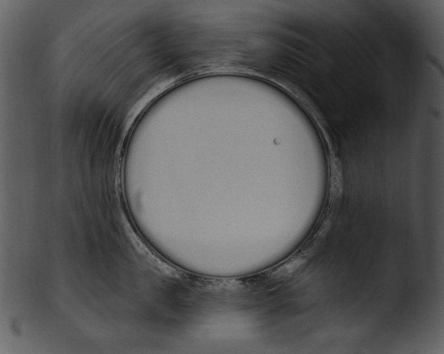 X0000103230957200809251301