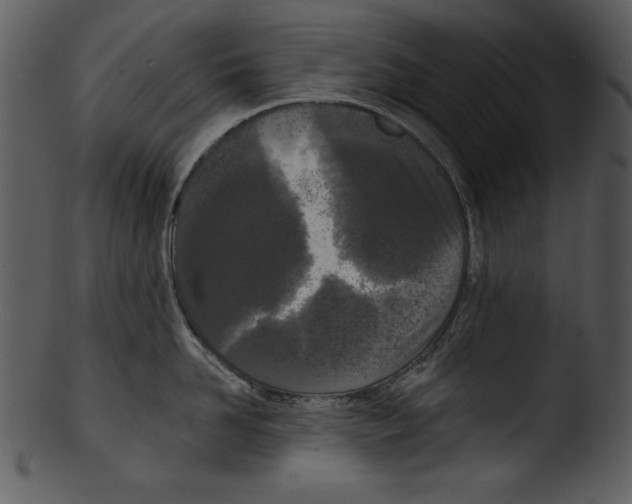 X0000103230958200809251301