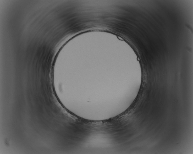 X0000103230959200809251301