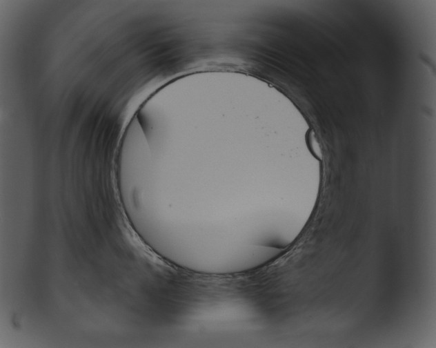 X0000103230960200809251301