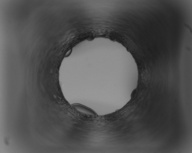 X0000103230961200809251300