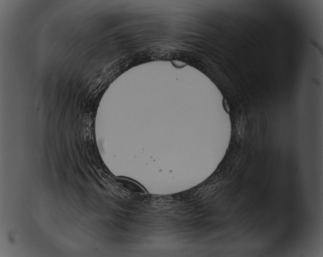 X0000103230964200809251300